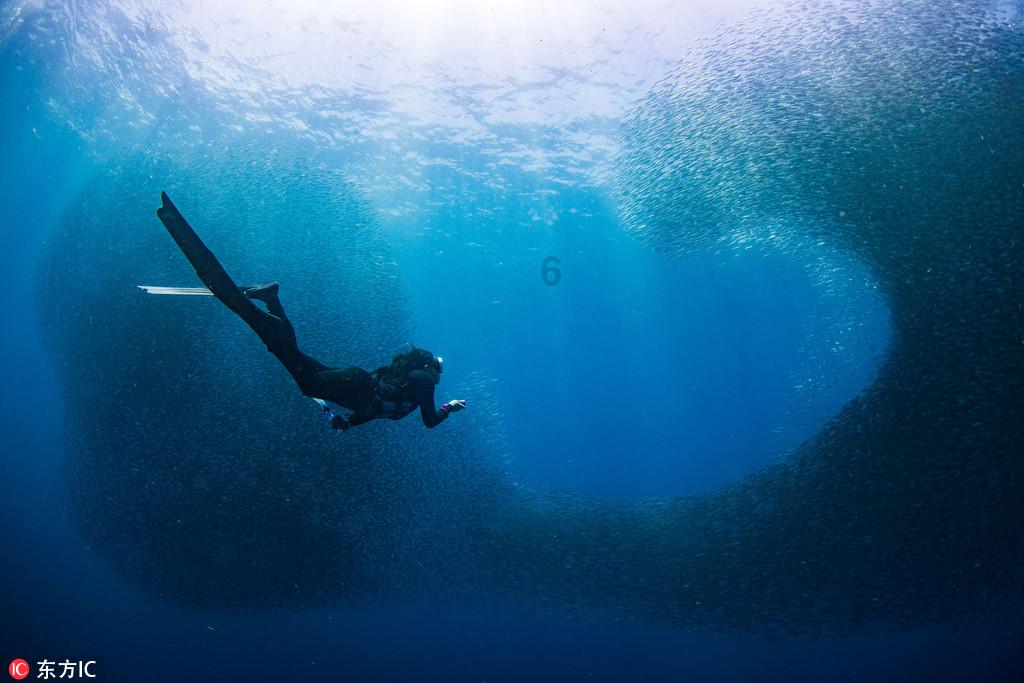 八旬老人感染甲流 医护联手救治成功